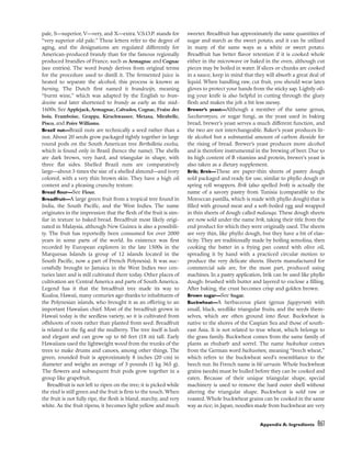 pasrty chef Bo Friberg.pdf