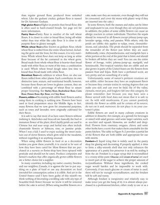 pasrty chef Bo Friberg.pdf