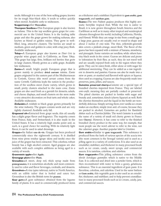 pasrty chef Bo Friberg.pdf