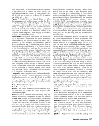 pasrty chef Bo Friberg.pdf