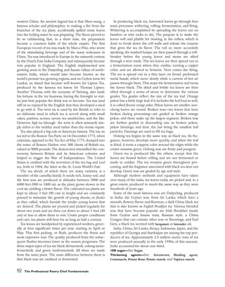 pasrty chef Bo Friberg.pdf