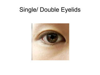 Single/ Double Eyelids 