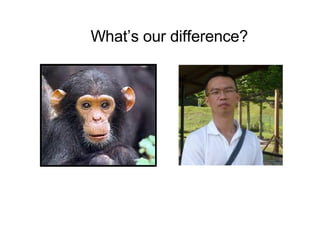 What’s our difference? 