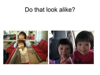 Do that look alike? 