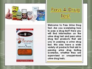 Welcome to Pass Urine Drug
Test. Are you wondering how
to pass a drug test? Here you
will find information on the
urine drug test and pass urine
drug test products that aid
you in passing a urine drug
test. We also have a wide
variety of products that aid in
passing urine drug testing
scenarios, whether they are
supervised or unsupervised
urine drug tests.
 