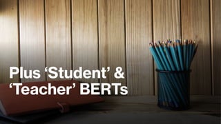 Plus ‘Student’ &
‘Teacher’ BERTs
 
