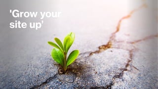 'Grow your
site up’
 