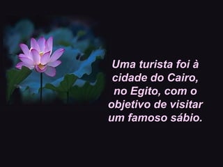 Uma turista foi à
cidade do Cairo,
no Egito, com o
objetivo de visitar
um famoso sábio.