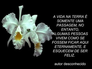 A VIDA NA TERRA É
SOMENTE UMA
PASSAGEM, NO
ENTANTO,
ALGUMAS PESSOAS
VIVEM COMO SE
FOSSEM FICAR AQUI
ETERNAMENTE, E
ESQUECEM DE SER
FELIZ.
autor desconhecido