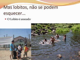 Mas lobitos, não se podem
esquecer…
 O Lobito é asseado
 