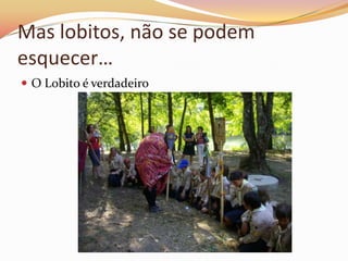 Mas lobitos, não se podem
esquecer…
 O Lobito é verdadeiro
 