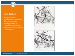 Introduction
Modification des
déplacements saisonniers
de la grande faune
sauvage en forêt de
Chateauvillain depuis la
pose des clôtures le long de
l'autoroute A5
10
Passages à faune SETS25/04/ 2010
 