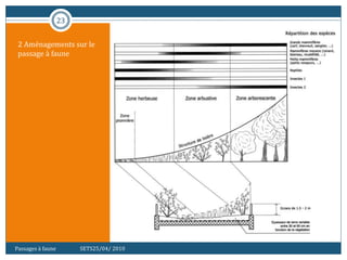 23
3. AMÉNAGEMENT DES MESURES DE
FRANCHISSEMENT
2 Aménagements sur le
passage à faune
Passages à faune SETS25/04/ 2010
 