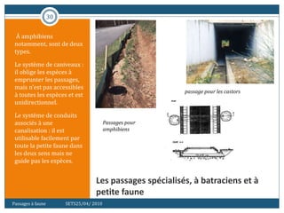 30
Les passages spécialisés, à batraciens et à
petite faune
À amphibiens
notamment, sont de deux
types.
Le système de caniveaux :
il oblige les espèces à
emprunter les passages,
mais n’est pas accessibles
à toutes les espèces et est
unidirectionnel.
Le système de conduits
associés à une
canalisation : il est
utilisable facilement par
toute la petite faune dans
les deux sens mais ne
guide pas les espèces.
Passages à faune SETS25/04/ 2010
passage pour les castors
Passages pour
amphibiens
 