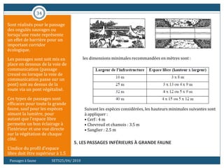 34
5. LES PASSAGES INFÉRIEURS À GRANDE FAUNE
Sont réalisés pour le passage
des ongulés sauvages ou
lorsqu’une route représente
un effet de barrière pour un
important corridor
écologique.
Les passages sont soit mis en
place en dessous de la voie de
communication (passage
creusé ou lorsque la voie de
communication passe sur un
pont) soit au dessus de la
route via un pont végétalisé.
Ces types de passages sont
efficaces pour toute la grande
faune, sauf pour les espèces
aimant la lumière, pour
autant que l’espace libre
permette un bon éclairage à
l’intérieur et une vue directe
sur la végétation de chaque
côté.
L’indice du profil d’espace
libre doit être supérieur à 1.5
Passages à faune SETS25/04/ 2010
Suivant les espèces considérées, les hauteurs minimales suivantes sont
à appliquer :
• Cerf : 4 m
• Chevreuil et chamois : 3.5 m
• Sanglier : 2.5 m
les dimensions minimales recommandées en mètres sont :
 