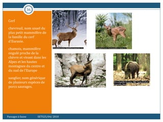 36
Cerf
chevreuil, nom usuel du
plus petit mammifère de
la famille du cerf
d'Eurasie.
chamois, mammifère
ongulé proche de la
chèvre et vivant dans les
Alpes et les hautes
montagnes du centre et
du sud de l'Europe
sanglier, nom générique
de plusieurs espèces de
porcs sauvages.
Passages à faune SETS25/04/ 2010
 