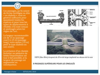 40
9 PASSAGES SUPÉRIEURS POUR LES ONGULÉS
Ces passages, qu’ils soient
de forme rectiligne ou dite
« en diabolo », sont en
général suffisants pour
quasiment toutes les
espèces et pour tous les
types de déplacements à
rétablir, s’ils sont conçus
et aménagés selon les
règles de l’art.
La largeur recommandée
est de 15 m (passage
court) à 25 m (passage
long), voire moins (10 m)
pour le type diabolo en
son centre.
La présence d’un chemin
forestier ou pédestre de
faible fréquentation est
tout à fait possible, si la
largeur du passage est
augmentée en
conséquence.
Passages à faune SETS25/04/ 2010
VRPV (Bas Rhin) écopont de 20 m de large implanté au-dessus de la voie
 