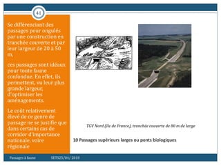 41
10 Passages supérieurs larges ou ponts biologiques
Se différenciant des
passages pour ongulés
par une construction en
tranchée couverte et par
leur largeur de 20 à 50
m,
ces passages sont idéaux
pour toute faune
confondue. En effet, ils
permettent, vu leur plus
grande largeur,
d’optimiser les
aménagements.
Le coût relativement
élevé de ce genre de
passage ne se justifie que
dans certains cas de
corridor d’importance
nationale, voire
régionale
Passages à faune SETS25/04/ 2010
TGV Nord (Ile de France), tranchée couverte de 80 m de large
 