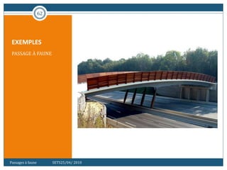 EXEMPLES
PASSAGE À FAUNE
62
Passages à faune SETS25/04/ 2010
 