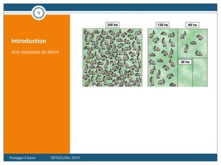 Introduction
Aire minimale du lièvre
9
Passages à faune SETS25/04/ 2010
 