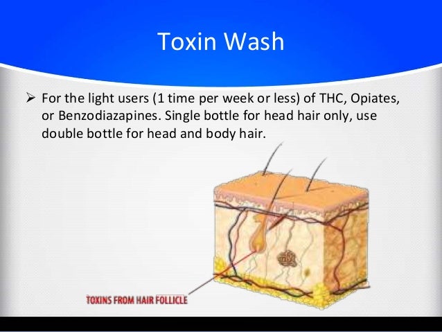 Pass A Hair Follicle Drug Test