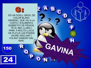 G:  ÉS UN OCELL GROS, DE COLOR BLANC GRISENC, QUE VIU A LA COSTA I S'ALIMENTA SOBRETOT DE PEIXOS. TÉ EL BEC LLARG I PRIM. A MOLTS LLOCS DE PLATJA LES PODEM VEURE XISCLANT I VOLANT DAMUNT DEL MAR. GAVINA 