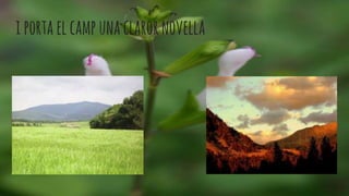 iportaelcampunaclarornovella
 