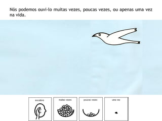 Nós podemos ouvi-lo muitas vezes, poucas vezes, ou apenas uma vez
na vida.
 