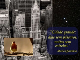 “Cidade grande:
dias sem pássaros,
    noites sem
     estrelas.”
     Mario Quintana
 