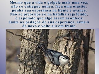 Mesmo que a vida o golpeie mais uma vez,  não se entregue nunca, faça uma oração,  ponha sua esperança na frente e avance. Não se preocupe se na batalha seja ferido,  é esperado que algo assim aconteça. Junte os pedaços de sua esperança, arme-a  de novo e volte a ir em frente. 