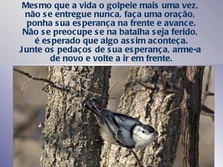 Mesmo que a vida o golpeie mais uma vez,  não se entregue nunca, faça uma oração,  ponha sua esperança na frente e avance. Não se preocupe se na batalha seja ferido,  é esperado que algo assim aconteça. Junte os pedaços de sua esperança, arme-a  de novo e volte a ir em frente. 