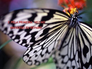 E PELA PRIMEIRA  VEZ NO UNIVERSO EU REPARO. 