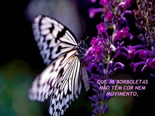 QUE AS BORBOLETAS NÃO TÊM COR NEM MOVIMENTO, 