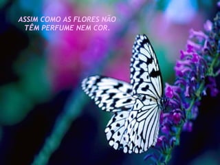ASSIM COMO AS FLORES NÃO TÊM PERFUME NEM COR. 
