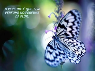O PERFUME É QUE TEM PERFUME NO PERFUME DA FLOR. 