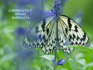 A BORBOLETA É  APENAS BORBOLETA 
