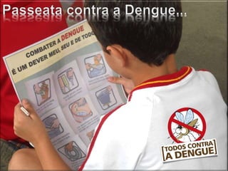 Passeata contra a Dengue.