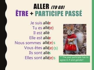 ALLER (TO G0)
ÊTRE + PARTICIPE PASSÉ
Je suis
Tu es
Il est
Elle est
Nous sommes
Vous êtes
Ils sont
Elles sont
allé
allé
allé
allé
allé
allé
allé
allé
e
(e)
e
(e)
(e)
(e)s
(s)
s
s
** The past participle has to
agree in # and gender!