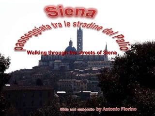 Walking through the streets of Siena 