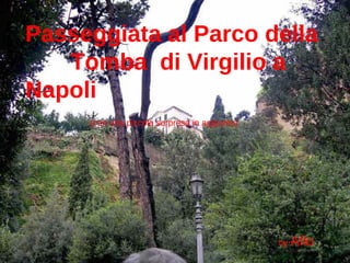 Passeggiata al Parco della  Tomba  di Virgilio a Napoli (con una piccola sorpresa in aggiunta) by  Aflo 