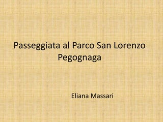 Passeggiata al Parco San Lorenzo
Pegognaga
Eliana Massari
 