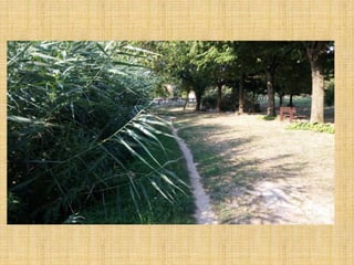 Passeggiata al Parco San Lorenzo