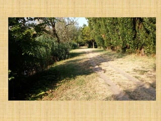 Passeggiata al Parco San Lorenzo