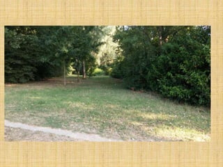 Passeggiata al Parco San Lorenzo
