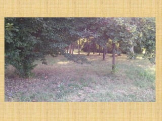 Passeggiata al Parco San Lorenzo