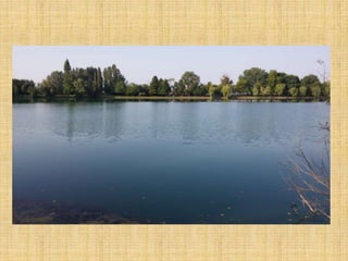 Passeggiata al Parco San Lorenzo