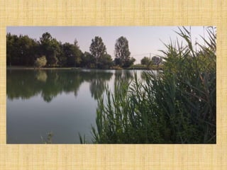 Passeggiata al Parco San Lorenzo