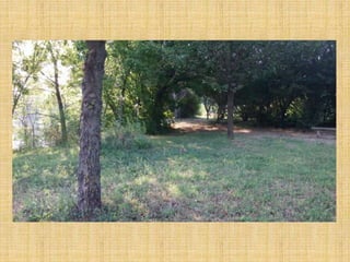 Passeggiata al Parco San Lorenzo