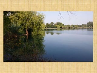 Passeggiata al Parco San Lorenzo