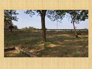 Passeggiata al Parco San Lorenzo